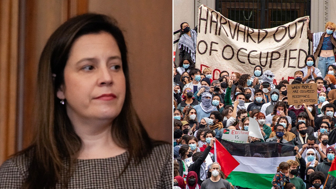 Read more about the article Stefanik slams Harvard for ‘cultural rot,’ allowing suspect in antisemitic attack to graduate