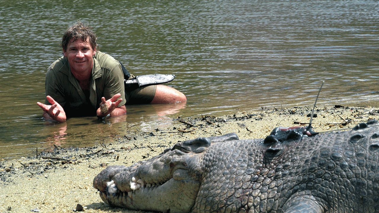 Steve Irwin posing with a crocodile at Australia Zoo