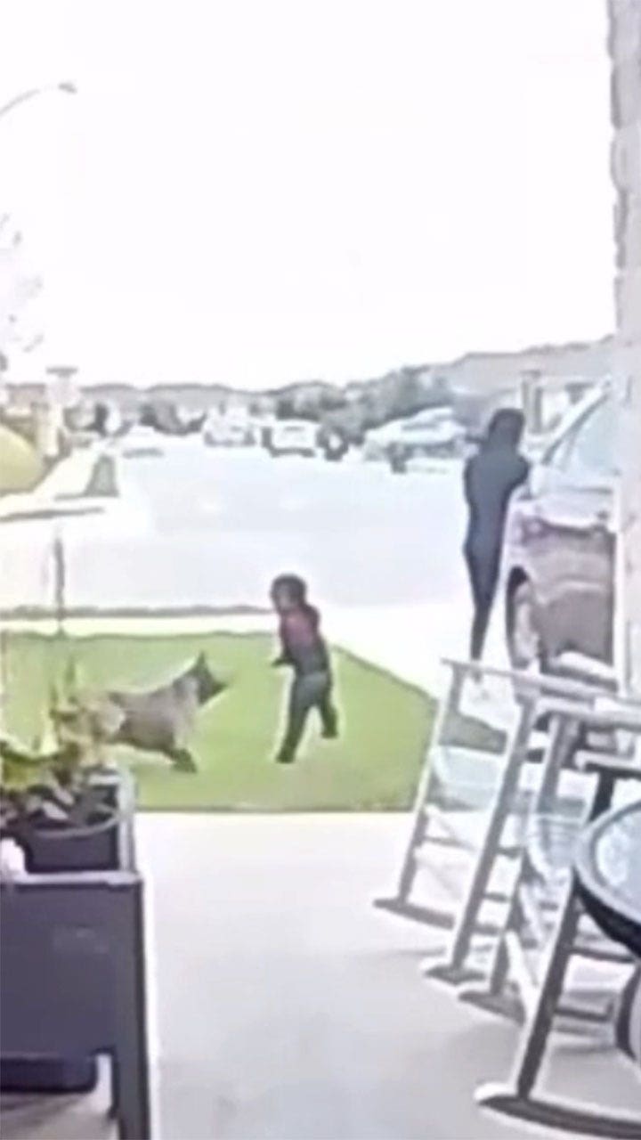 Texas mother seen on video fighting off pit bull that attacked toddler
