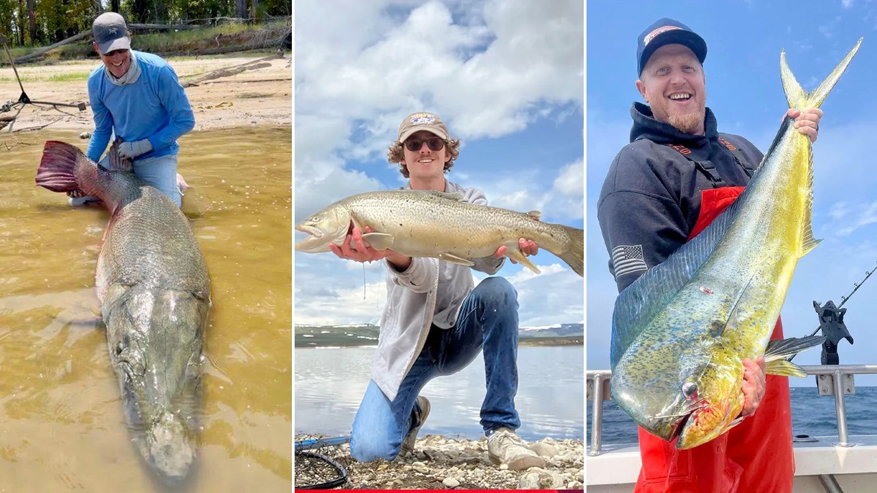 Here are remarkable stories of fish that either set records or came close to doing so over the past 12 months. (Kirk Kirkland/Wyoming Game & Fish Department/Owen Schaad /Wade La Fontaine)
