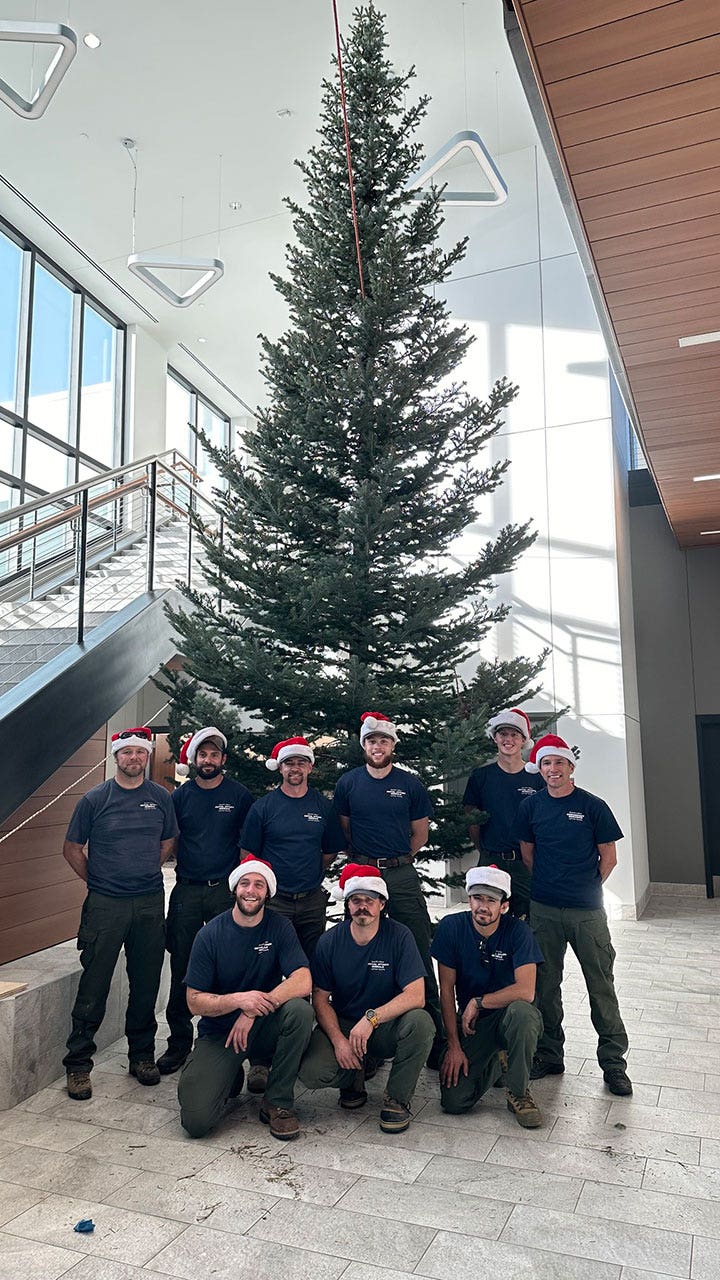 Colorado deputies spread Christmas cheer by squeezing giant tree into department lobby