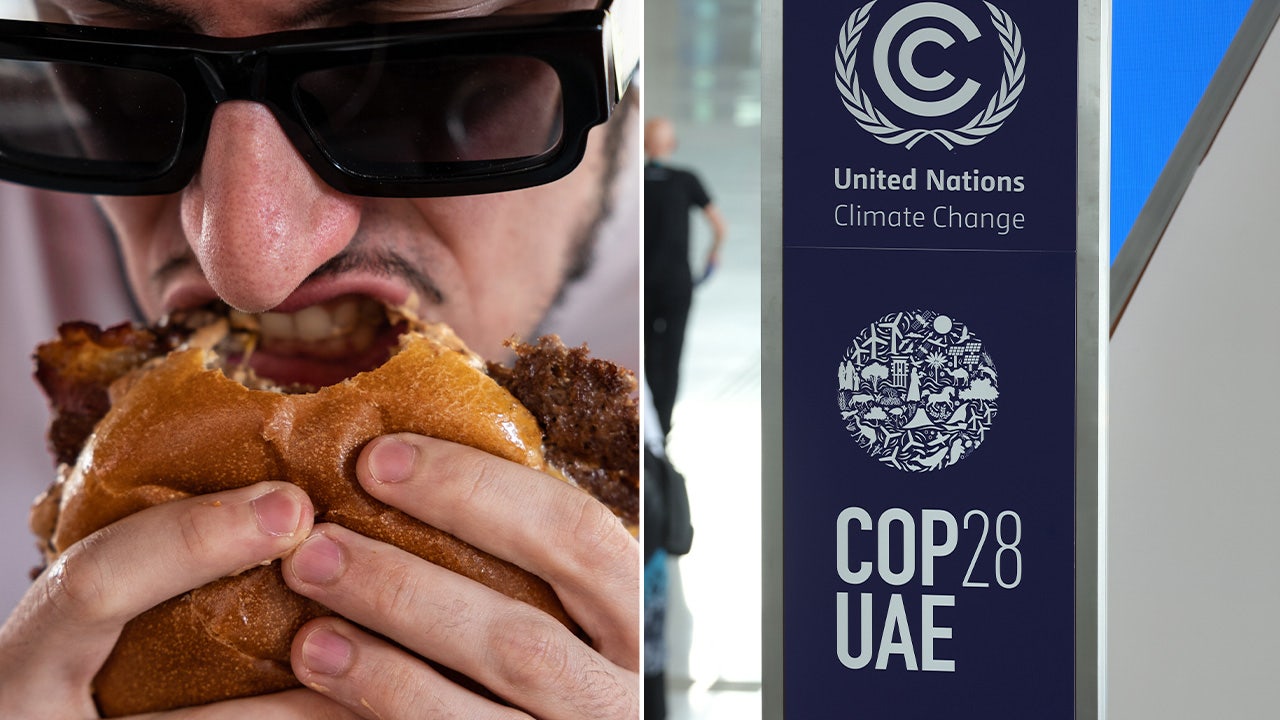UN climate summit serving burgers, BBQ as it calls for US to stop eating meat