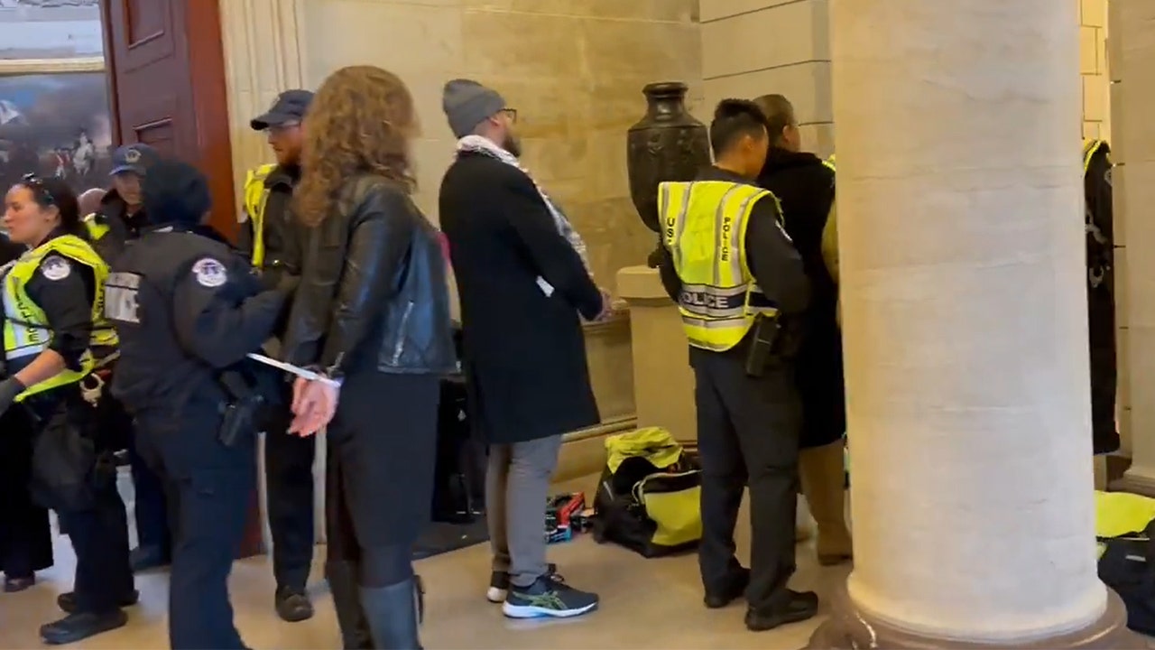 Capitol Police arrest 60 anti-Israel activists for illegally protesting inside rotunda: reports