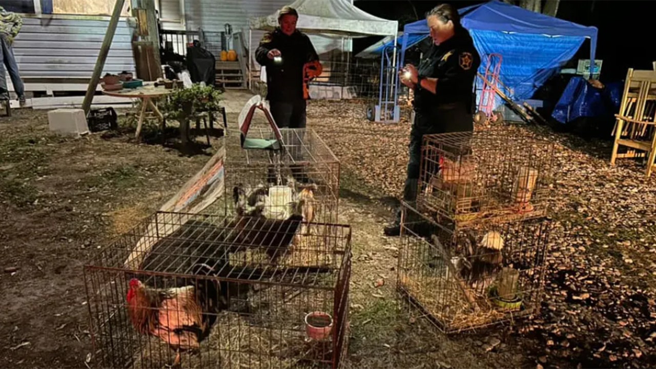 Florida police seize 309 animals from mobile home before arresting 'overwhelmed' woman