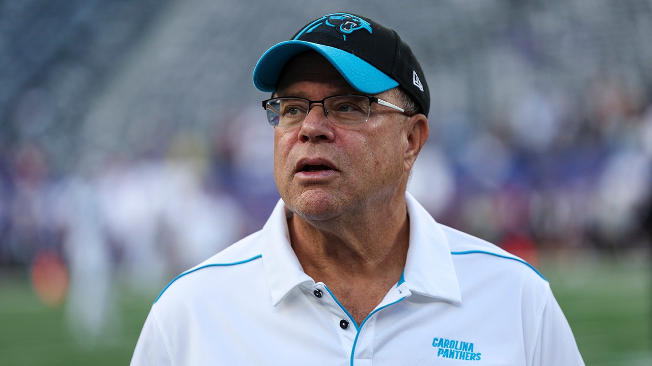Read more about the article David Tepper visits bar after sign takes aim at Panthers owner ahead of draft: ‘Let the coach and GM pick’