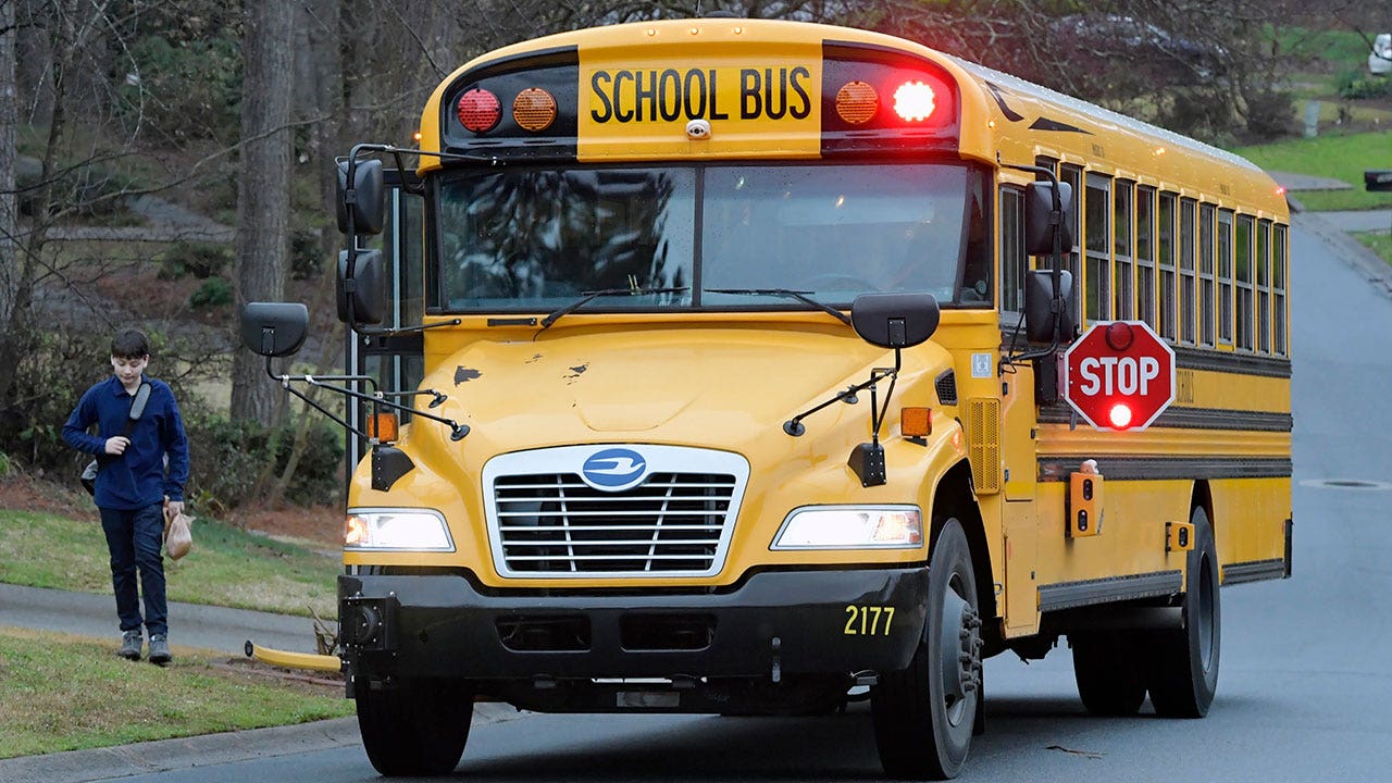Read more about the article Police search for Detroit girl missing since January school bus ride