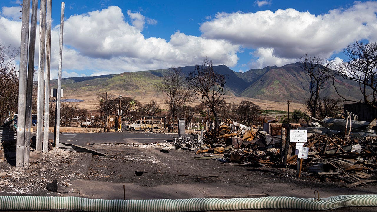 California law students provide pro bono help to struggling Maui residents after wildfires