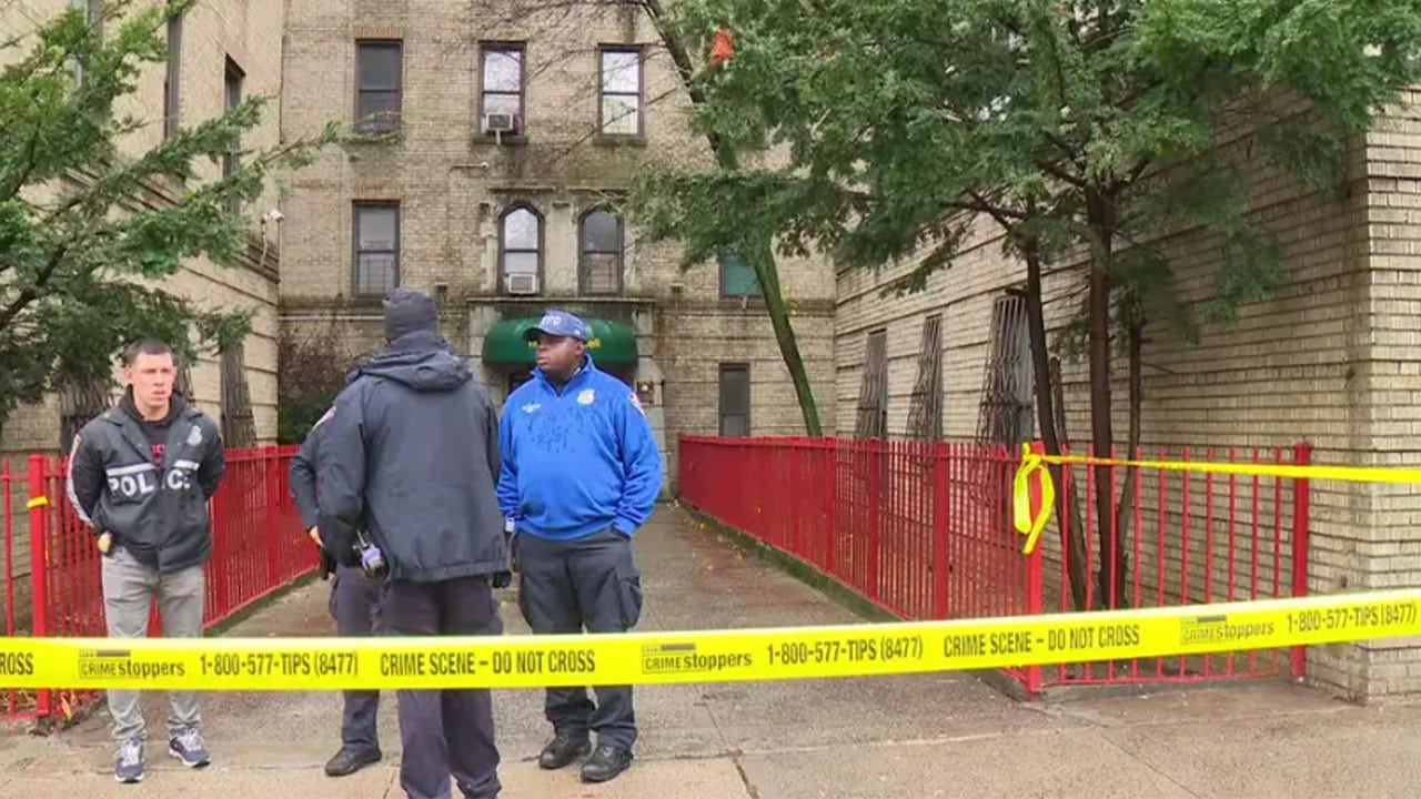 纽约市警方：母亲发现5岁的双胞胎不响应，口吐白沫