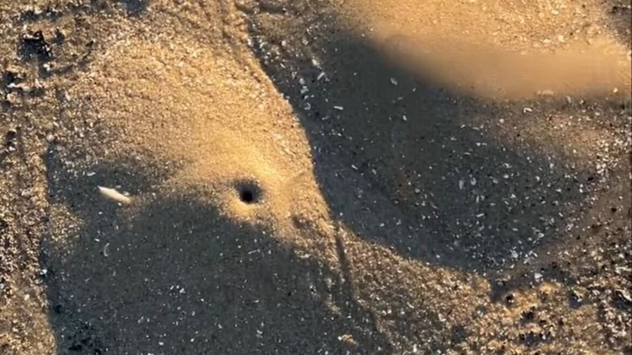 'Mini volcanoes' made of mounds of sand appear scattered on Texas beach