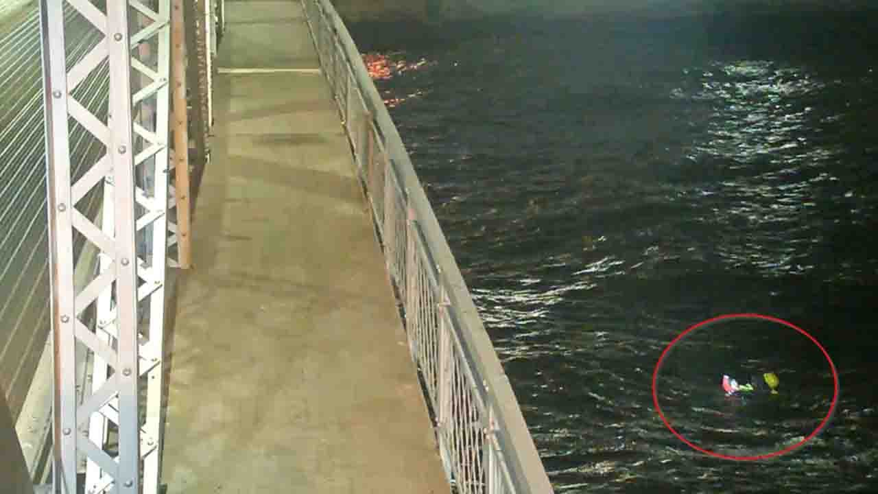 Minnesota firefighters battle 8-foot waves to save dog drowning in ‘extreme cold water’ of Lake Superior