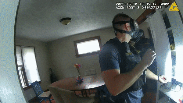 Video of SWAT looking through house