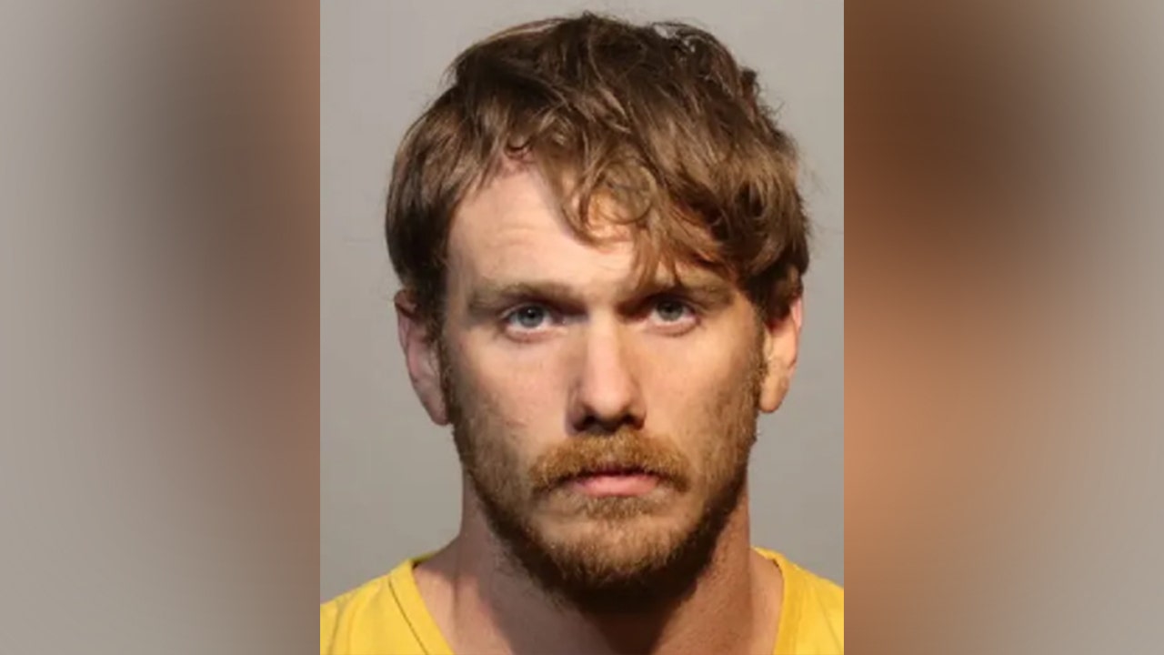 Florida man arrested for deliberately hitting deer, filming it for TikTok: police