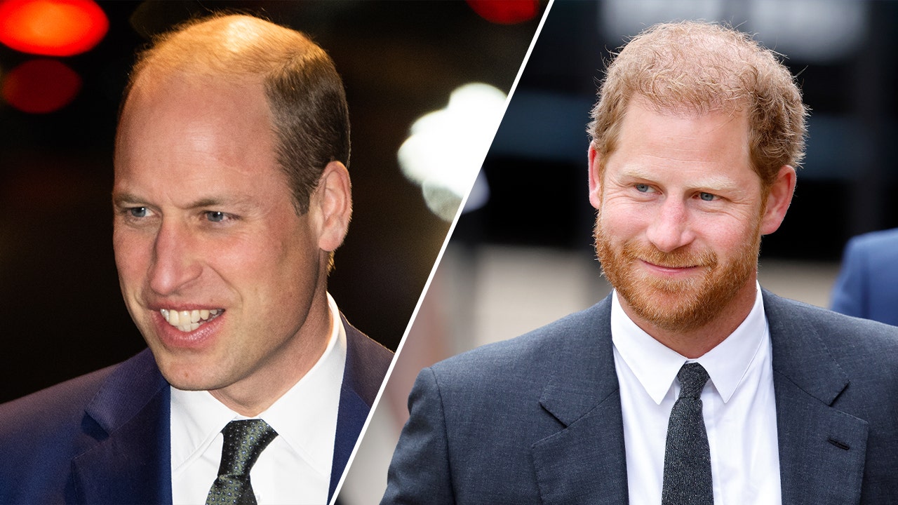 Royal Confessions 2023: Prince William, Prince Harry spill secrets about  their personal lives | Fox News