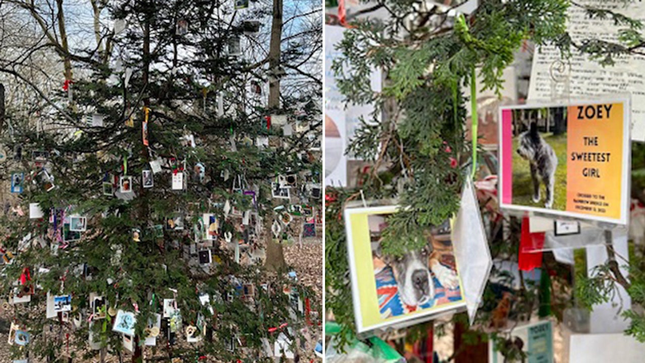 Tree hidden in Central Park serves as special pet memorial: 'Warms my heart'