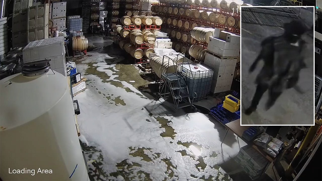Washington cowboy wannabe destroys winery in bizarre standoff caught on camera - fox