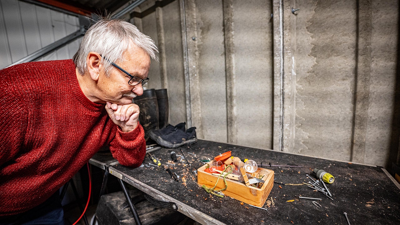 Mouse shocks millions on internet by cleaning up man's shed