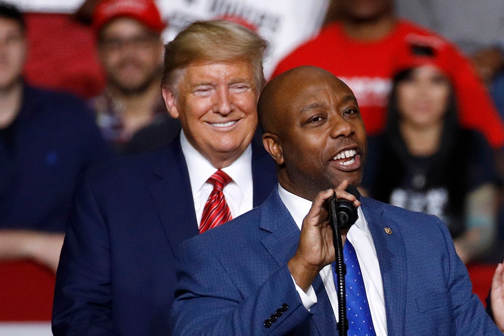 Read more about the article Tim Scott to join Trump on stage at campaign rally amid VP pick rumors