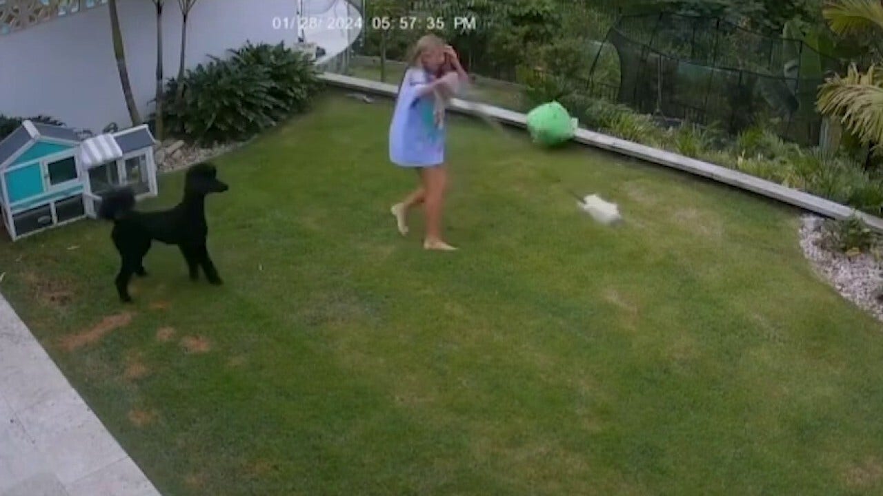 Australian girl swings large snake several times to rescue pet guinea pig: video