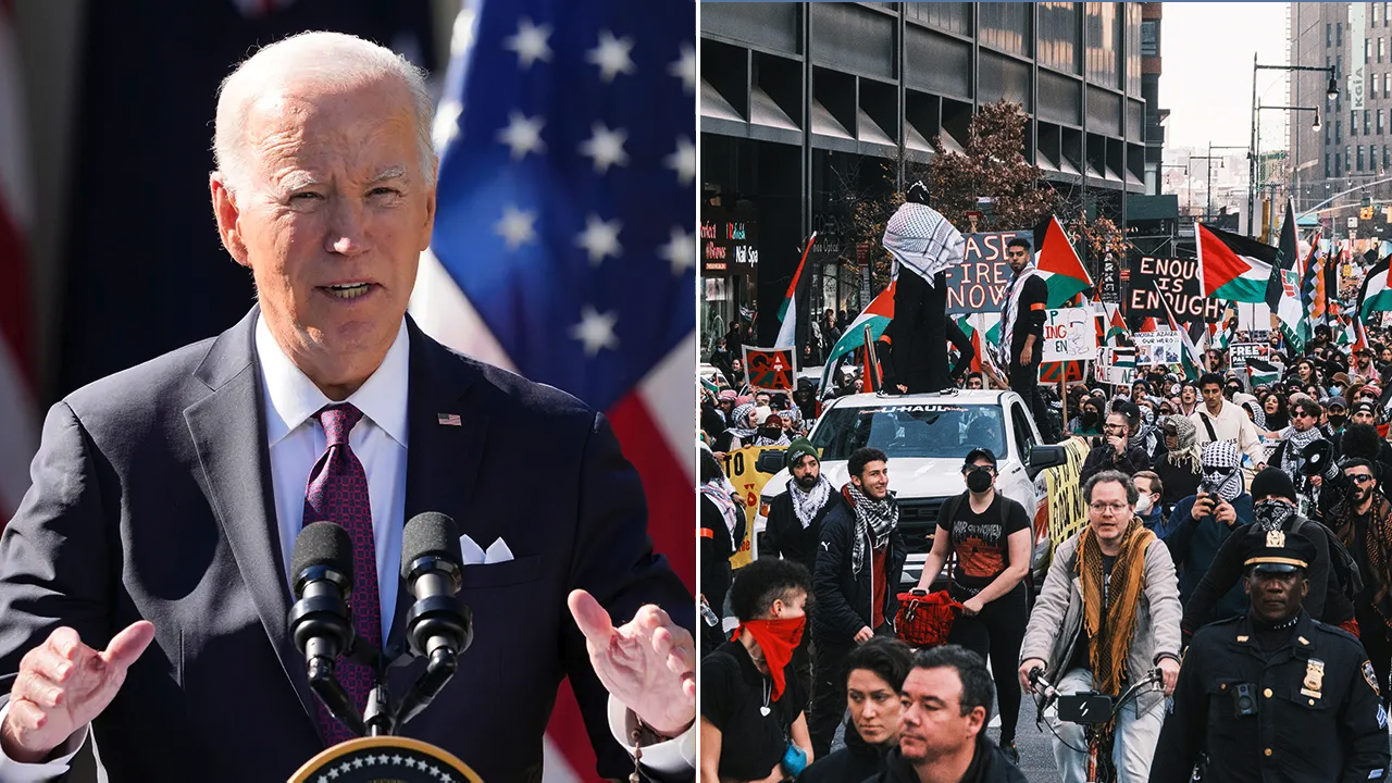 Young Democrats upset over Gaza could reach '1968 proportions' if the White House isn't careful, author says