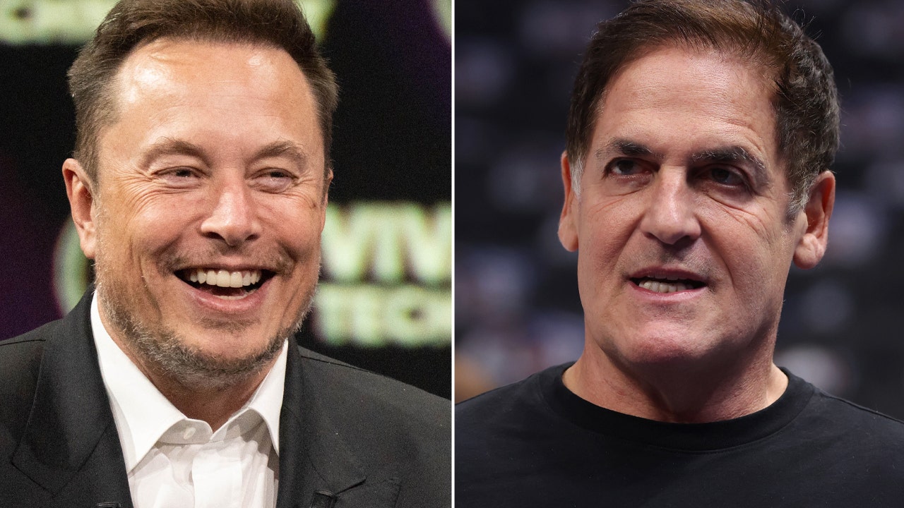 Elon Musk zings Mavericks’ Mark Cuban as billionaires debate DEI merits