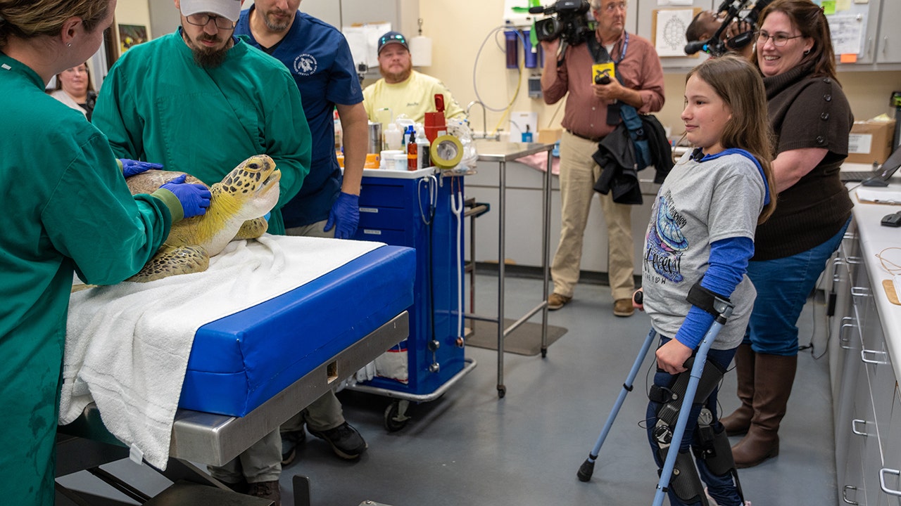 Georgia tween with spina bifida meets adopted sea turtle with matching disability: ‘Felt a connection'