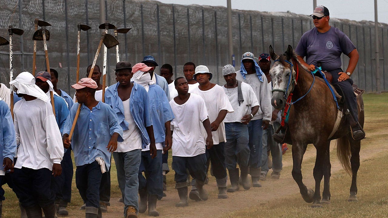 US prisoners are part of a hidden workforce linked to popular food brands, report claims