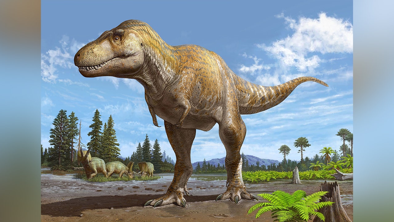 Studie z Nového Mexika ukazuje, že nově objevená dinosauří linie předchází Tyrannosaurus rex
