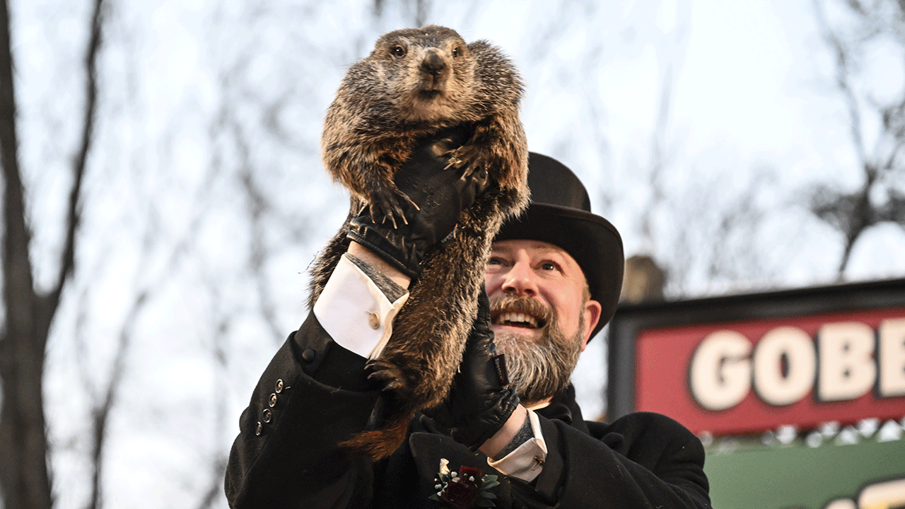 Phil being held up on Groundhog Day