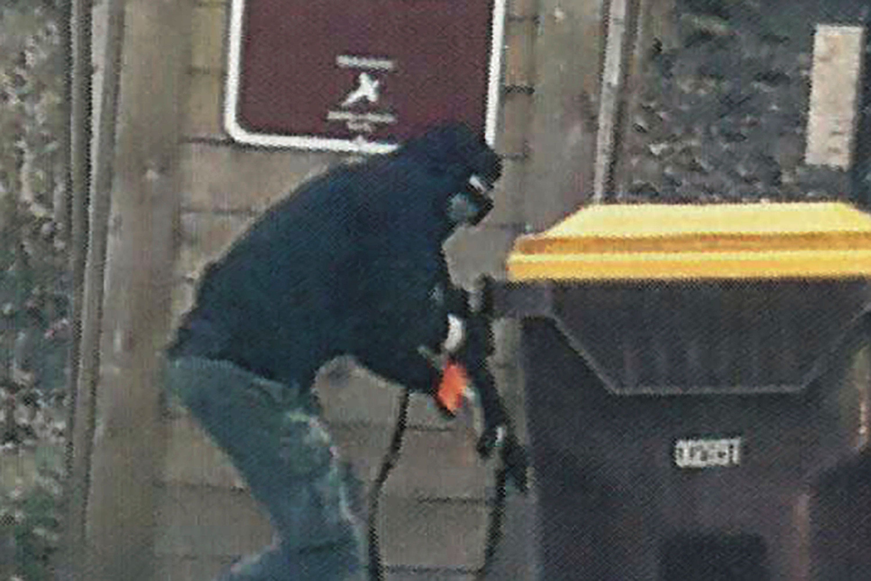 Minnesota man, 21, receives prison sentence after assembling an arsenal to attack police