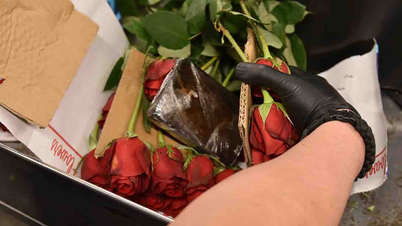 Texas border officers discover $10.2M in drugs inside refrigerated trailer hauling roses, officials say