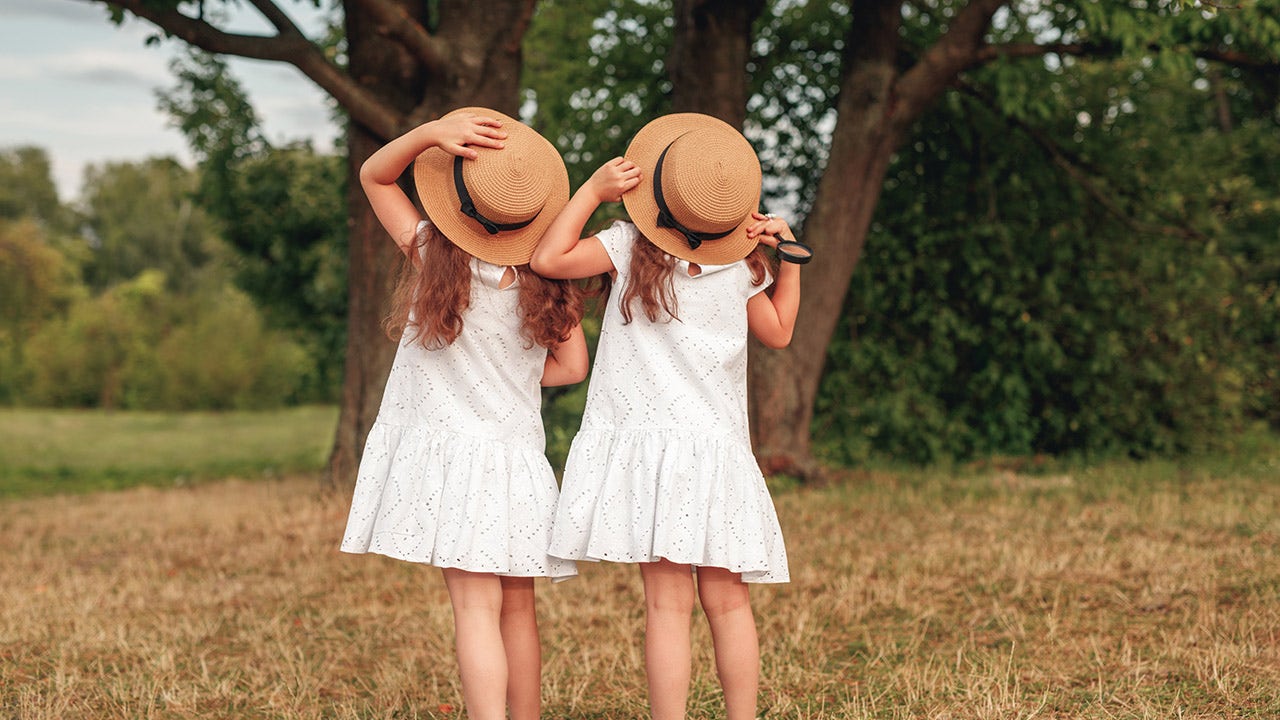A mom of twins was right to ban her sister-in-law from her home after the woman refused to refer to the young children as individuals, Reddit users decided - and experts told Fox News Digital that twins need to have their individuality stressed. (iStock)