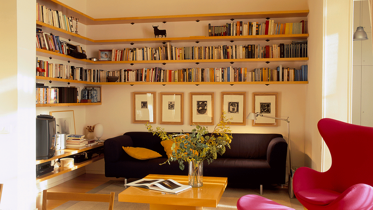 Living room bookshelf