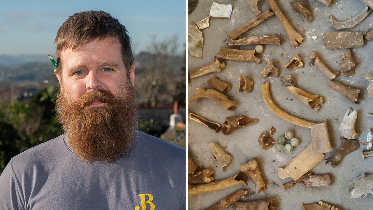 Plumber shocked as he finds over 20 pig bones underneath home's bathroom floor during routine visit