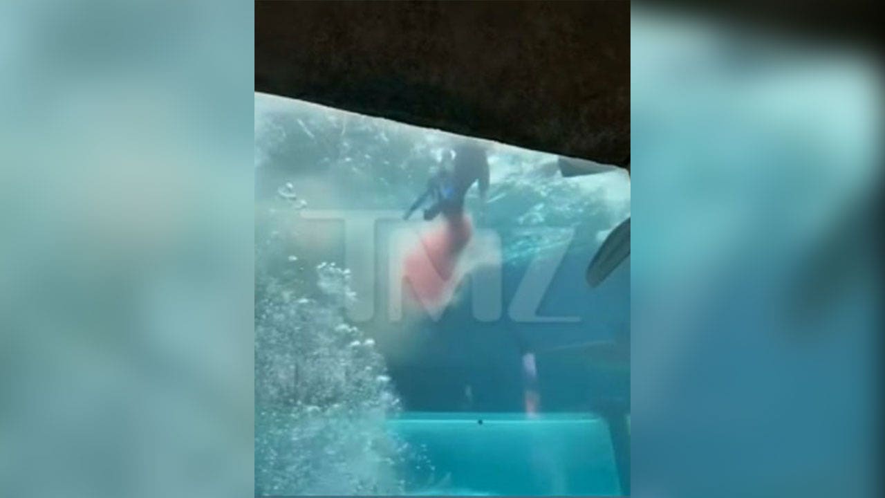 Read more about the article Video shows moments after boy, 10, attacked by shark during tank expedition at Bahamas resort