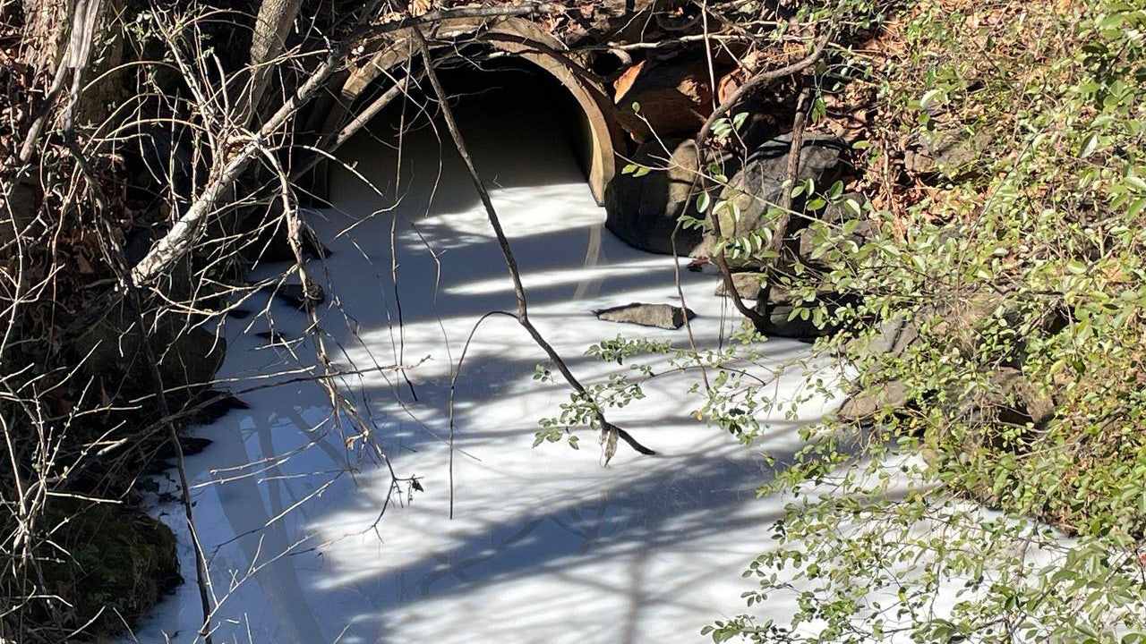 Spilled milk dyed a Virginia creek white. See the unbelievable pictures taken of the incident