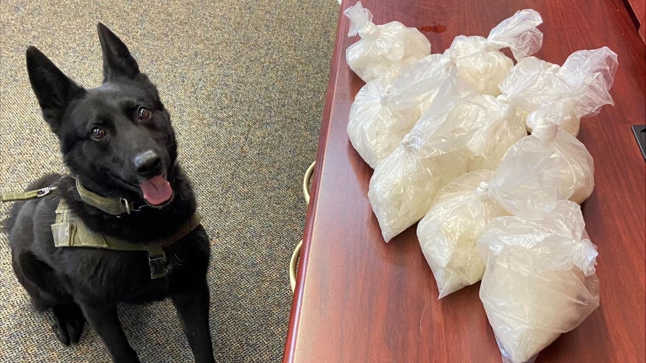 Read more about the article California K-9 finds pounds of meth hidden in dog treat boxes during traffic stop: police
