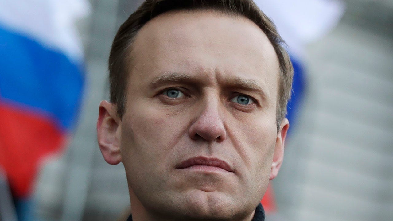 Russian opposition leader Alexei Navalny dies in prison after serving time in solitary confinement