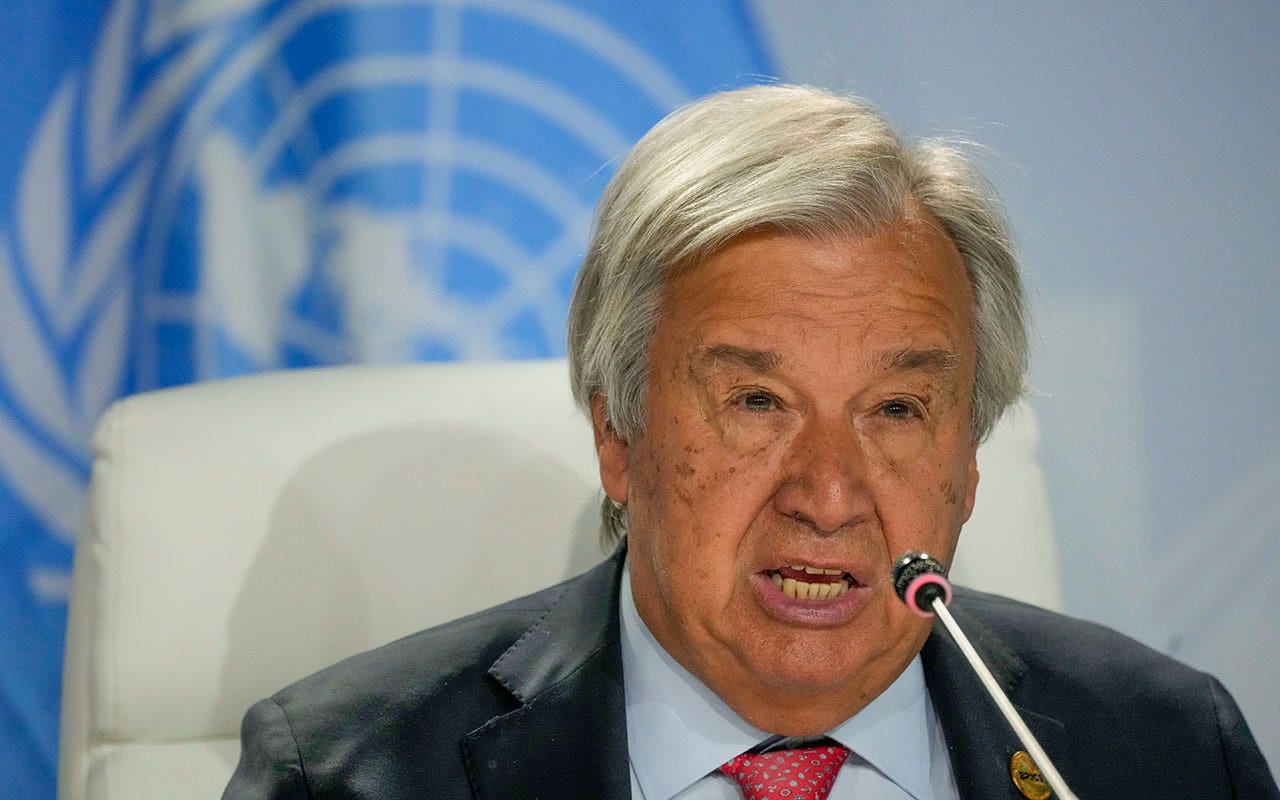 Read more about the article United Nations chief urges security council to address impact of food shortages