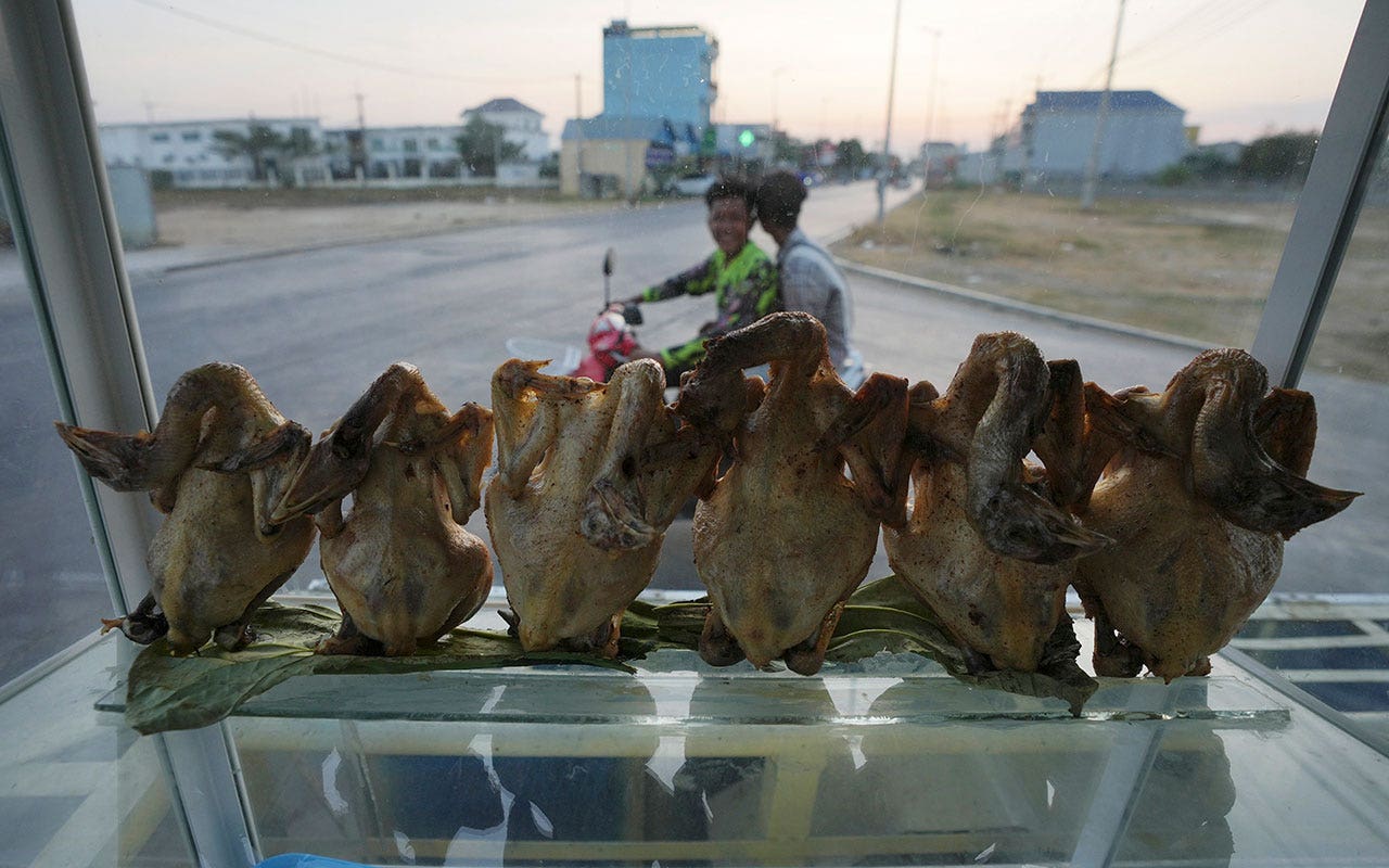 Read more about the article Cambodia reports new bird flu case after 9-year-old boy dies of the virus
