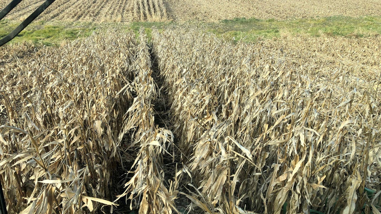 US lawmakers push back against EPA's proposed manure emissions reporting requirement