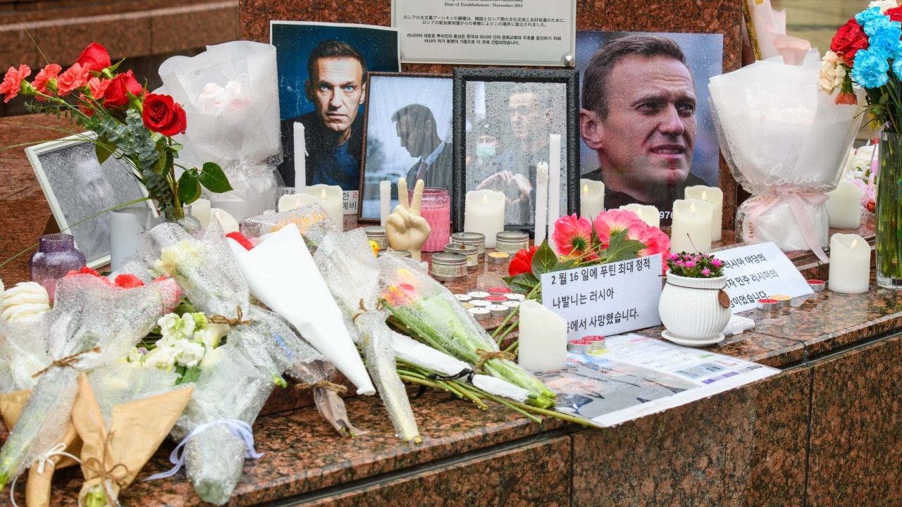 Read more about the article Russian court to hear lawsuit brought by Alexei Navalny’s mother