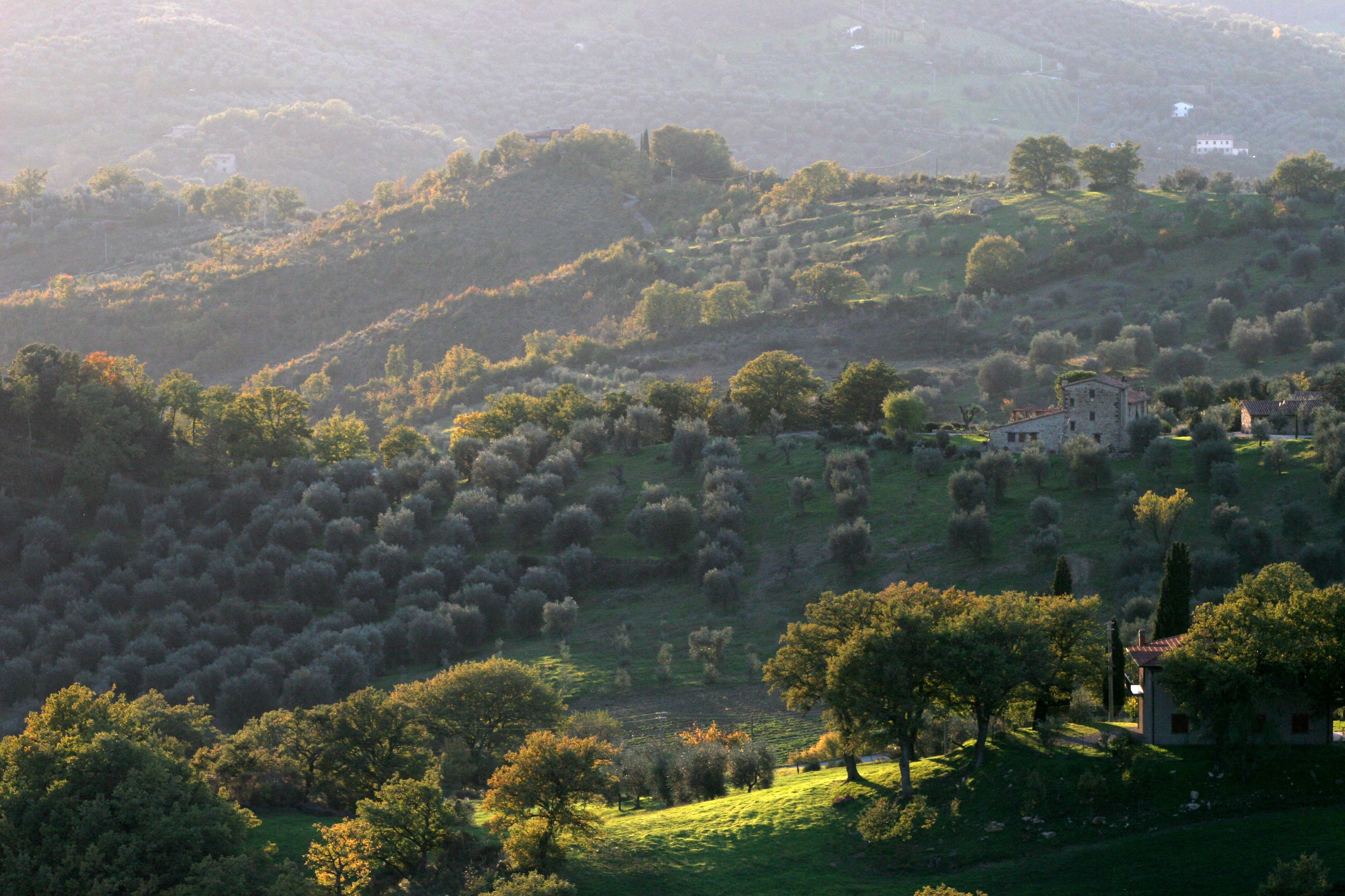 A guide to true Italian cuisine: From Tuscany and Rome to Sicily