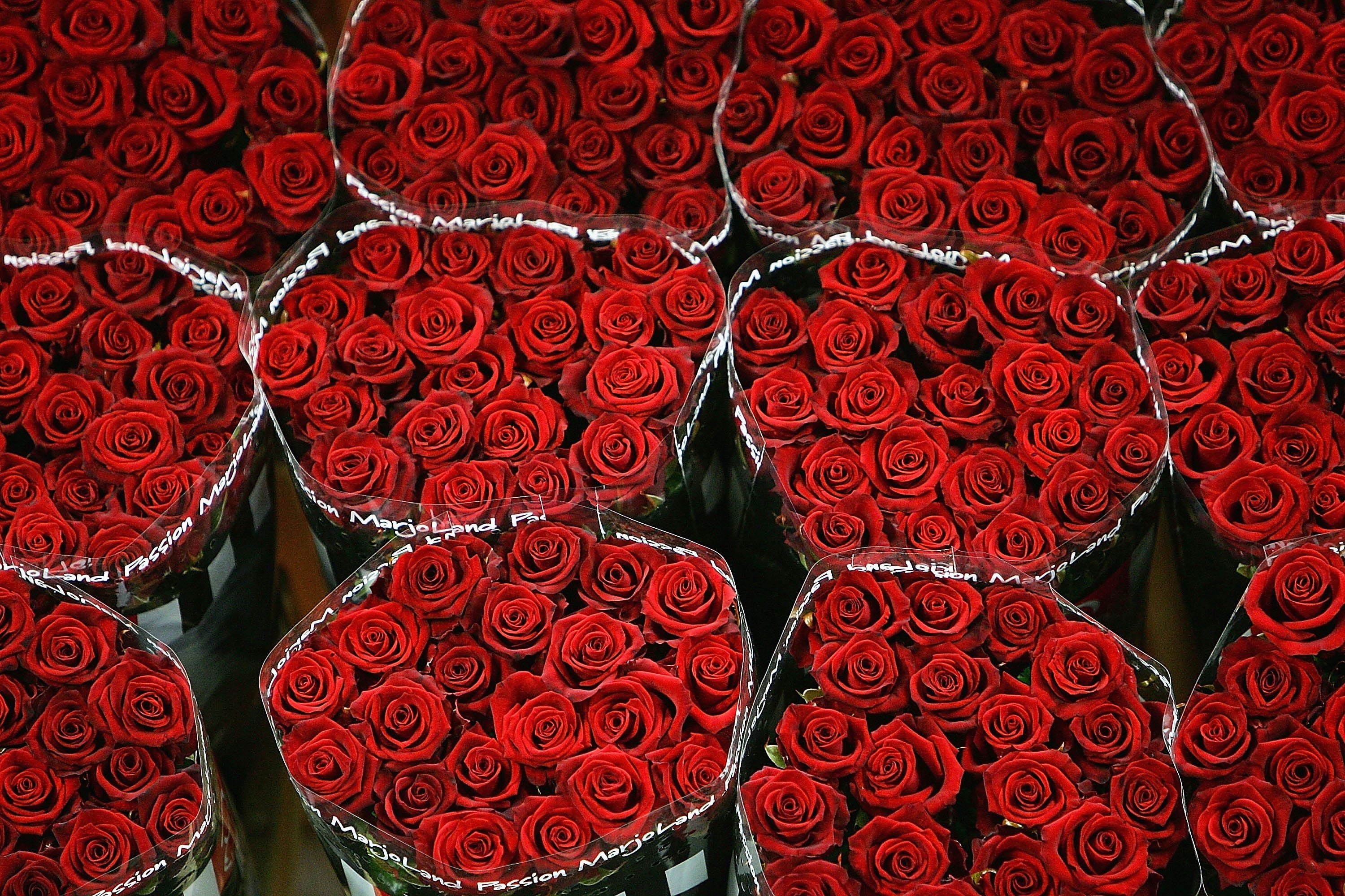 Is Valentine's Day a commercial holiday? How the day of romance increased consumer spending