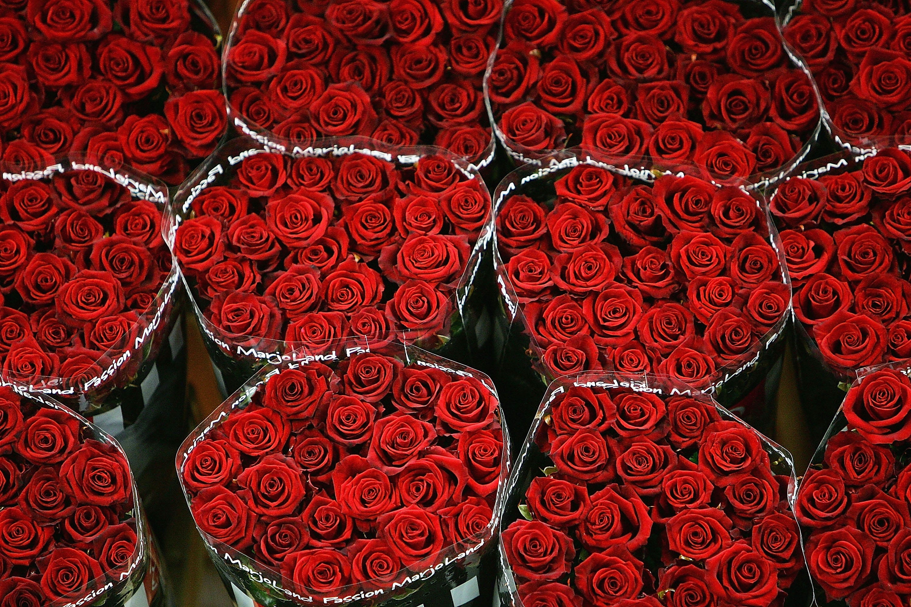 Valentine's Day Impact on Retail Sales and the Economy