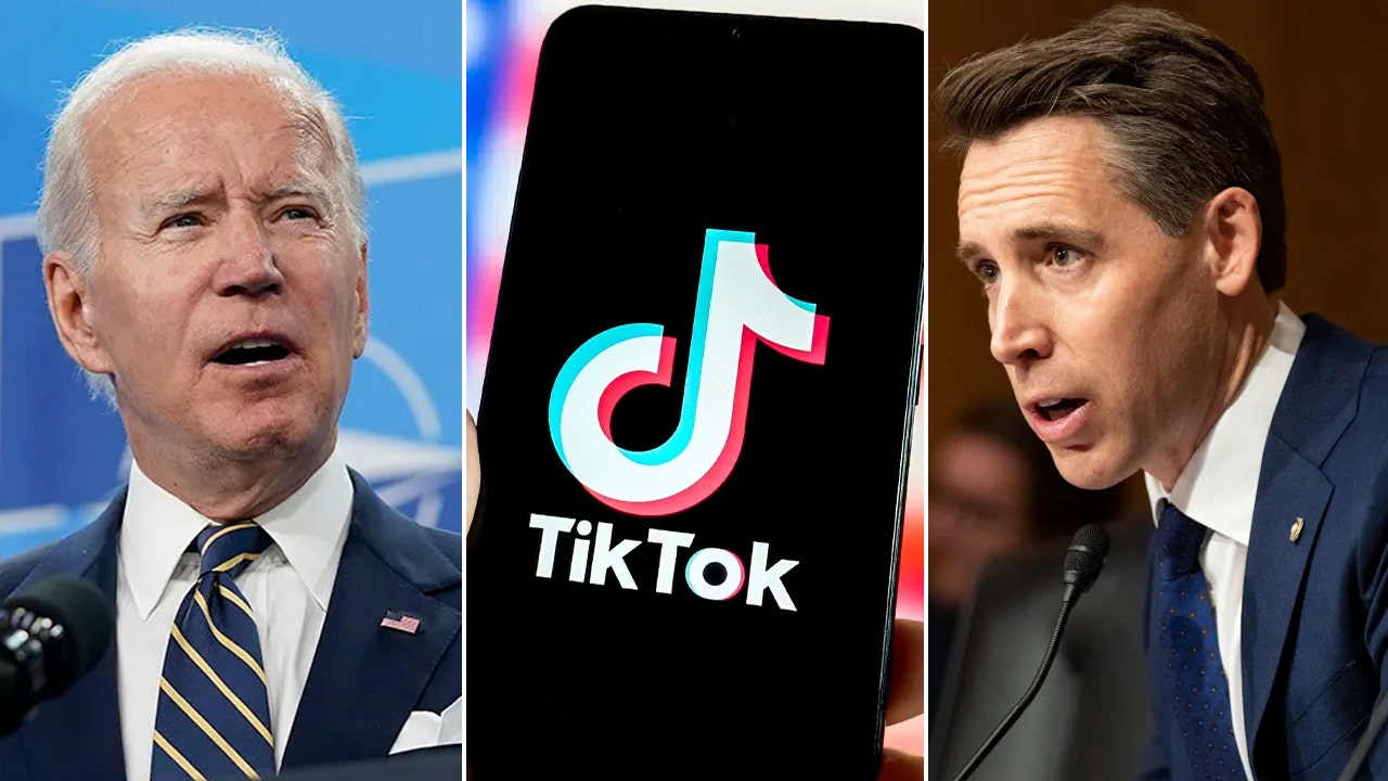 Read more about the article Hawley calls out Biden campaign for using TikTok after president signed law banning it from federal devices