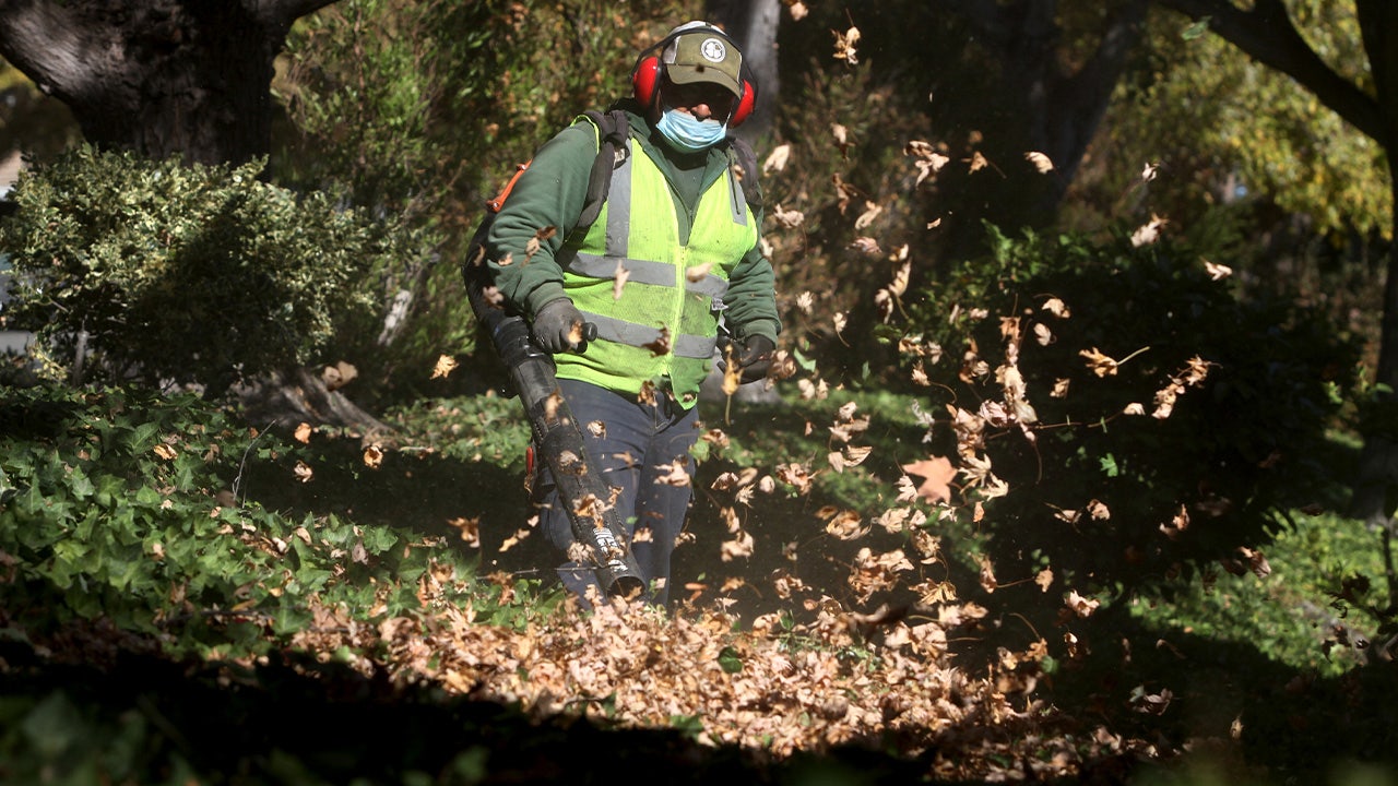 Portland considers banning gas-powered leaf blowers to assuage climate concerns