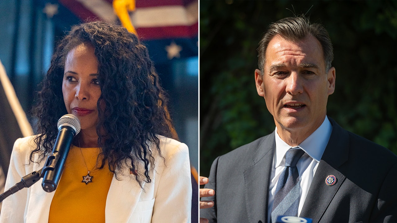 NY race to replace George Santos may be test for Republicans looking to keep House in November