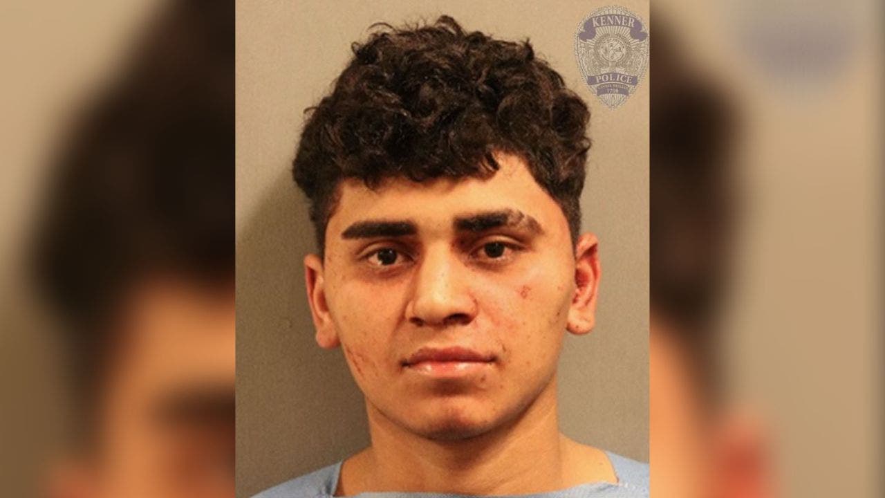 Read more about the article Illegal migrant from Honduras arrested for rape of girl, 14, stabbing man