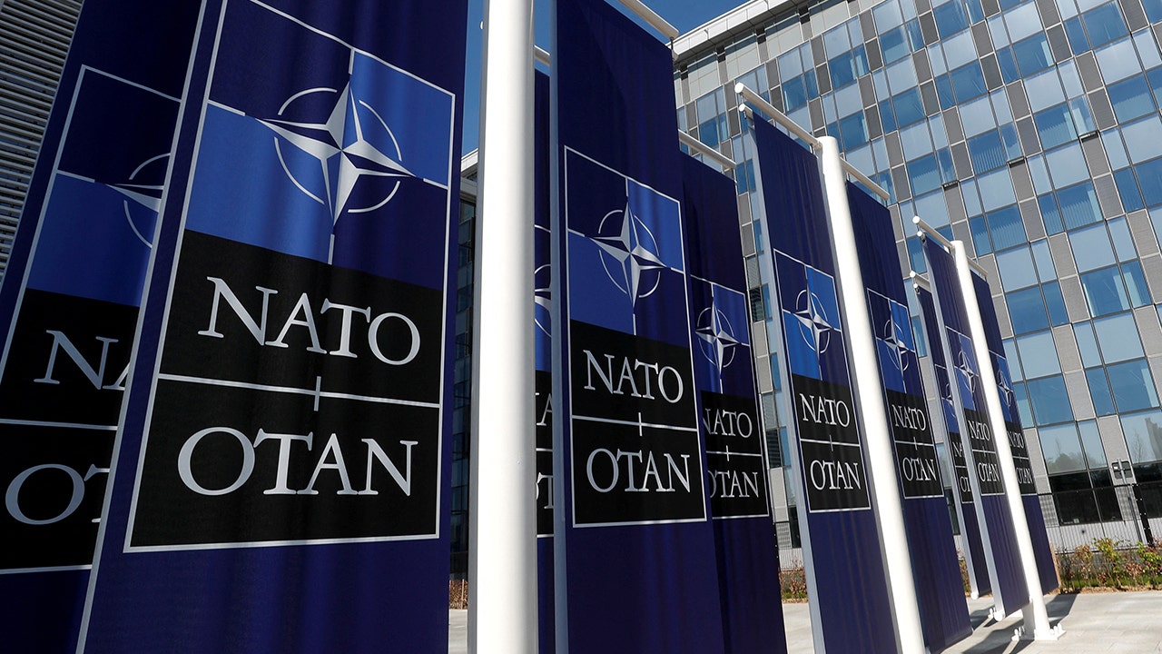 Read more about the article NATO alliance not expected to invite Ukraine to upcoming summer summit