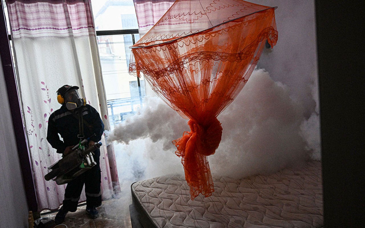 Peru declares health emergency as majority of provinces see surge in dengue cases